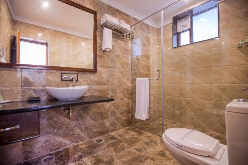 萨瓦伊马多普尔Hotel Ranthambore Regency的一间带水槽和卫生间的浴室