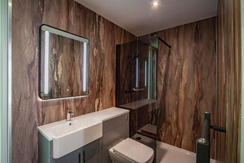 WinsterComfy Lake District Cabins - Winster, Bowness-on-Windermere的一间带水槽、卫生间和镜子的浴室