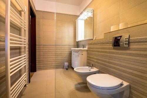 德瓦Burebista Residence的一间带卫生间和水槽的浴室