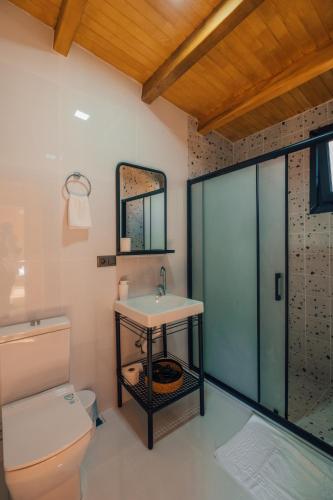 萨潘贾SAPANCA KURUÇEŞME TINY HOUSE的一间带卫生间和水槽的浴室