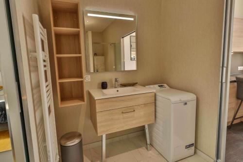 Domaine Grand Piquecaillou - L'appartement Loupiac的一间带水槽、洗衣机和烘干机的浴室
