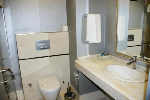 安卡拉alfin otel的一间带水槽、卫生间和镜子的浴室
