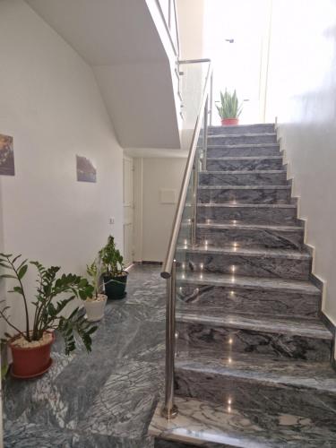 塔拉法尔Kaps Home - Tarrafal的一座种植盆栽植物的建筑中的楼梯