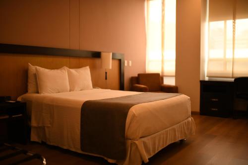 麦德林米桑迪尔格酒店的配有一张床和一把椅子的酒店客房