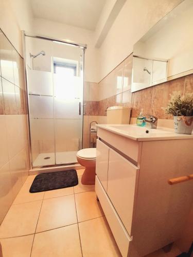 阿尔热祖尔Casa Rocha Relax的带淋浴、卫生间和盥洗盆的浴室