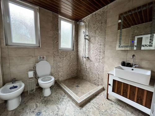 大特尔诺沃Apartment Enina的一间带卫生间、水槽和镜子的浴室