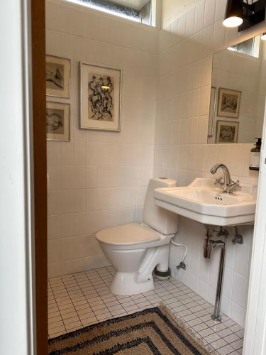 马斯塔尔Aggershøj pensionat的一间带卫生间和水槽的浴室