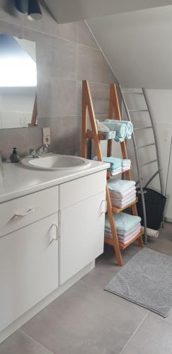 马塞克Logeren in Aldeneik的白色的浴室设有水槽和梯子