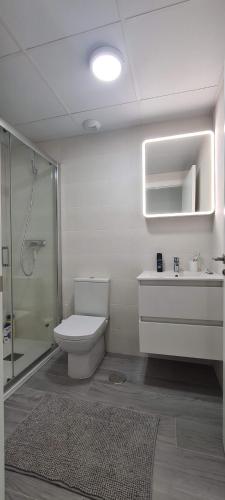 卡塔赫纳Vista de Flamencos的浴室配有卫生间、淋浴和盥洗盆。