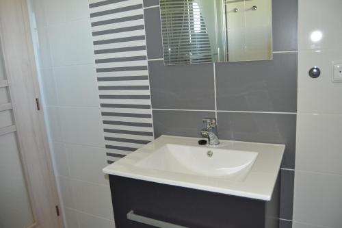 什特兰贝尔克Penzion Bez Modrého Páva的浴室设有白色水槽和镜子