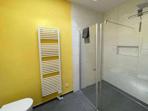 维赫尔ZeiTraum Oberwiehl - Wohnen im Penthouse的一间带玻璃淋浴和卫生间的浴室