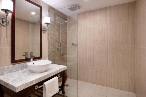 阿皮亚萨摩亚阿吉格雷简易别墅喜来登酒店的一间带水槽和淋浴的浴室