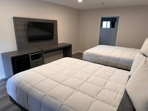 西科维纳五星级酒店 的一间卧室配有两张床和电视