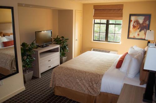 威廉斯堡爱国者酒店 的酒店客房,配有床和电视
