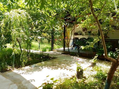 库萨雷Dom Semya Deluxe Gusar的庭院中间带长凳的花园