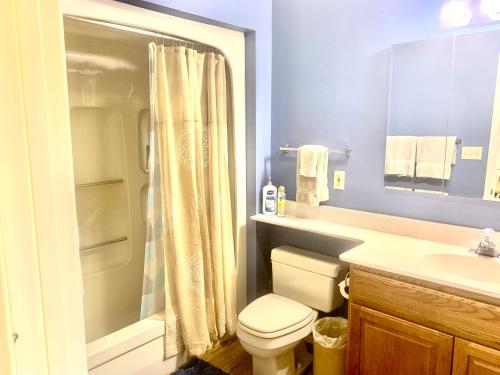 帕戈萨斯普林斯TALISMAN AMAZING VIEWS Walk to Uptown Sleeps 4的浴室配有卫生间、淋浴和盥洗盆。