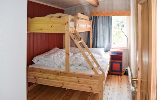 Treungen4 Bedroom Lovely Home In Treungen的一间卧室配有带梯子的双层床