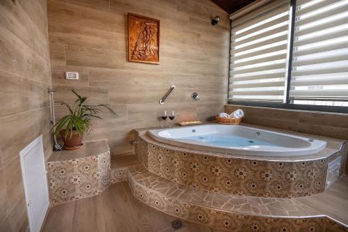 SemadarSuite Kolibri in Galilee的带窗户的浴室内的大浴缸