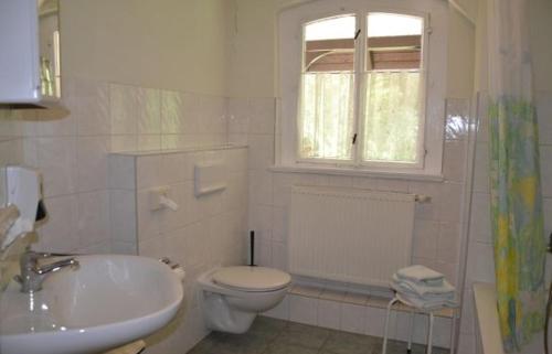 艾森贝格Waldhotel Pfarrmühle的白色的浴室设有卫生间和水槽。