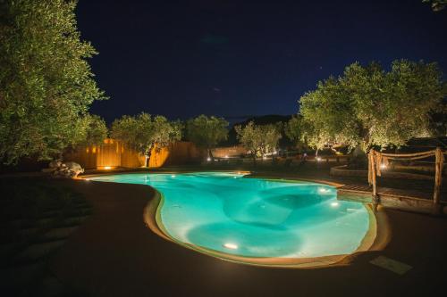 马蒂纳塔Le Lenze Don Mimì Glamping的夜间在院子里的游泳池