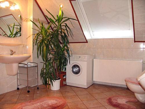 GeisaFerienwohnung Seeleshof的一间带洗衣机和植物的浴室