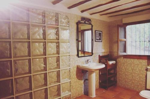 卡斯特里尔Casa Rural El Gandulillo的一间带水槽和镜子的浴室