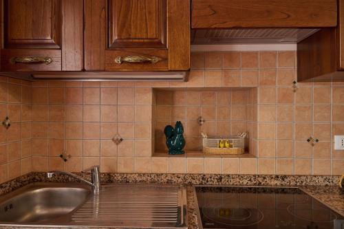圣温琴佐Antichi Palmenti - Alloro的厨房配有水槽和台面