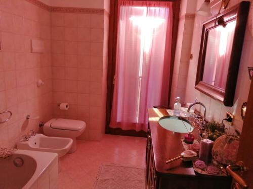 圣佩莱格里诺温泉Casa Marina的浴室配有盥洗盆、卫生间和浴缸。