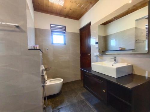 亭可马里Sellamah beach Hotel的一间带水槽、卫生间和镜子的浴室