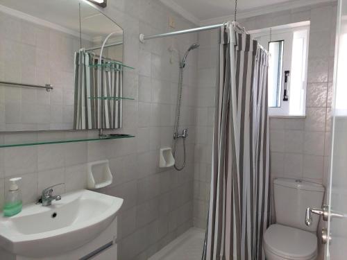 克雷马斯蒂亚历克西娅公寓&一室公寓套房酒店的浴室配有盥洗盆、卫生间和淋浴。