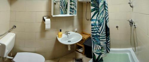 克鲁塞沃Marija Apartments的一间带水槽和卫生间的小浴室