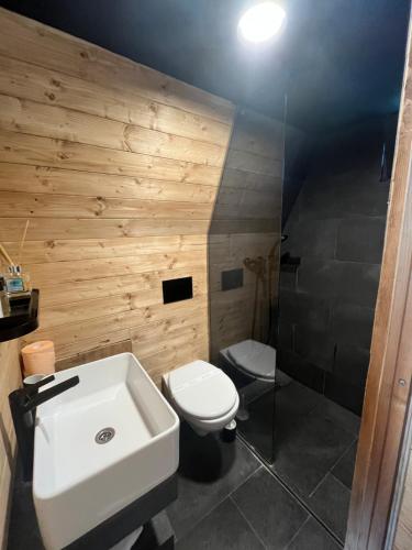 PiatraPerryland Urban Farm的浴室配有白色水槽和卫生间。