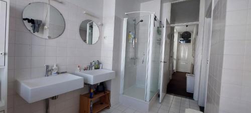 海牙Statenkwartier/Scheveningenwoning的白色的浴室设有水槽和淋浴。