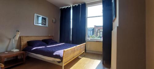 海牙Statenkwartier/Scheveningenwoning的一间卧室配有床和蓝色窗帘的窗户