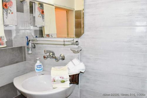 大特尔诺沃Ross的白色的浴室设有水槽和镜子