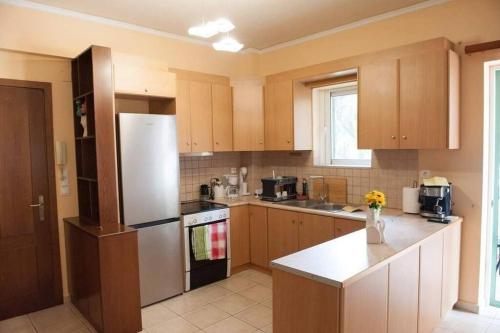 普雷韦扎Meropi Apartment的厨房配有木制橱柜和白色冰箱。