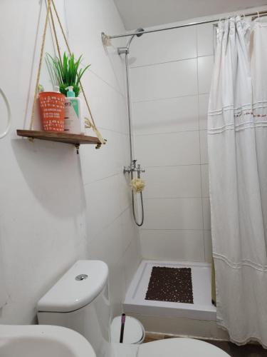 圣地亚哥Hostal Pura Vida的浴室配有白色卫生间和淋浴。