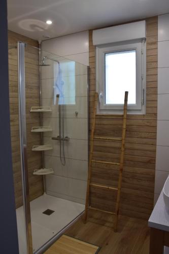 Saint-Père-sur-Loireô temps de l'escapade的带淋浴的浴室,配有梯子和窗户