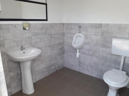 穆里吉奥尔Casa Chitu的一间带卫生间、水槽和小便室的浴室