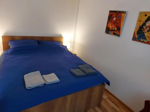 雅戈丁那Centar Crnjanski的一张带蓝色床单的床和两张毛巾