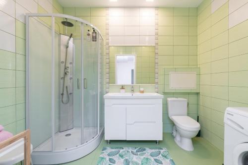 塔林Kaubamaja Apartment的带淋浴水槽和卫生间的浴室