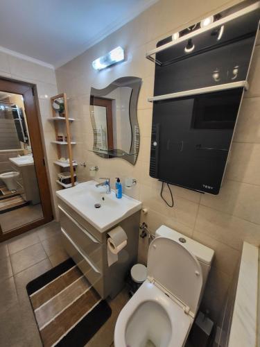 康斯坦察Casa Laura&Florin的一间带卫生间和水槽的浴室以及一台电视。