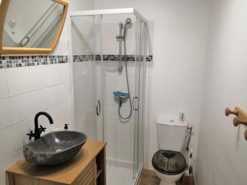 Saint-Dalmas-le-Selvage小星星住宿加早餐旅馆的一间带水槽、淋浴和卫生间的浴室