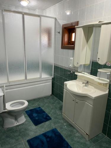 萨潘贾Four seanson müstakil sıcak havuzlu villa的浴室配有卫生间、盥洗盆和淋浴。