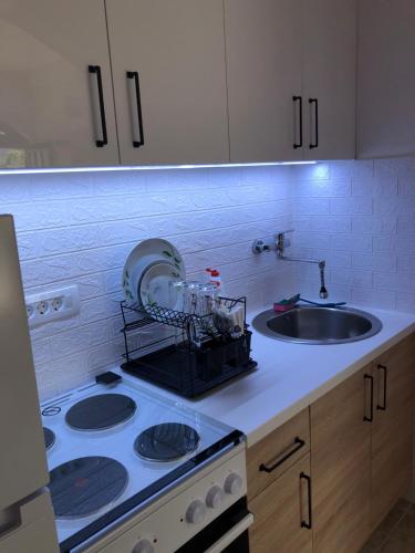 伊加洛Apartman Cmiljanic的厨房柜台配有炉灶和水槽