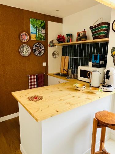 圣伯努瓦德斯昂德Coco bay 2的厨房配有木制台面和微波炉