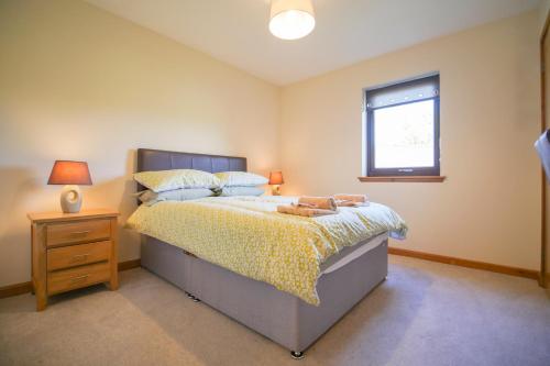因弗内斯Glenview Chalet Park的一间卧室配有一张床、床头柜和窗户