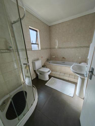 杰米斯顿Leondale Guest House的带淋浴、卫生间和盥洗盆的浴室