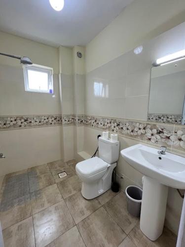 蒙巴萨Nitro Homes Nyali的一间带卫生间和水槽的浴室