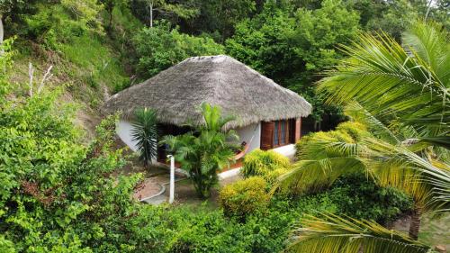 赛姆Hosteria Cumilinche的森林中带茅草屋顶的小房子